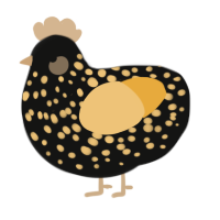 A black and honey chicken with a speckle pattern