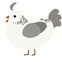 A white and ash chicken with a neck-speckle pattern
