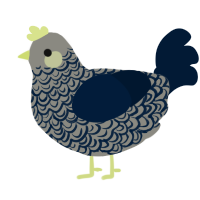 A ash and tumblr chicken with a double-lace pattern