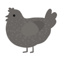 (unnamed), a grey chicken with a speckle pattern