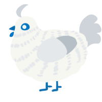 A white and mist chicken with a bar pattern