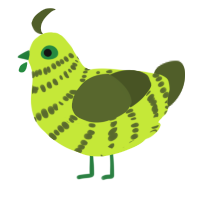 Striped Lime, a lime and olive chicken with a bar pattern