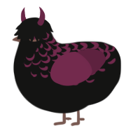 Jason, a black and maroon chicken with a half-lace pattern