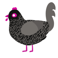 higgs wannabe, a black and grey chicken with a double-lace pattern