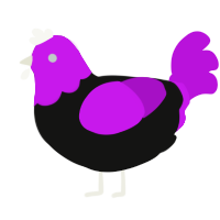 Aurel, a black and amethyst chicken with a head pattern