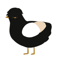 Étranger, a black and cream chicken