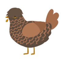 Acorn Coffee, a bark and brown chicken with a lace pattern