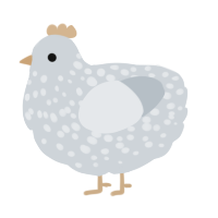Frost Princess, a mist chicken with a speckle pattern