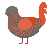 (unnamed), a grey and vermilion chicken with a lace pattern