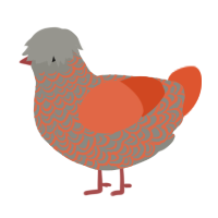 A ash and vermilion chicken with a double-lace pattern