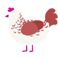 This Guy, a white and red chicken with a half-lace pattern