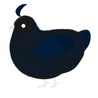 tumblr dot com, a sable and tumblr chicken with a double-lace pattern