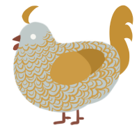 Sky Island, a silver and gold chicken with a double-lace pattern