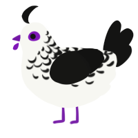 Transcend, a white and black chicken with a half-lace pattern