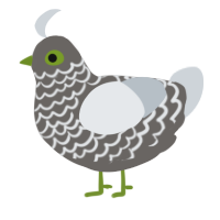A grey and mist chicken with a lace pattern