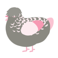 Ashen Rose, a ash and rose chicken with a half-lace pattern