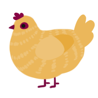 (unnamed), a honey chicken with a bar pattern