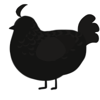 Truth, a black and sable chicken with a half-lace pattern