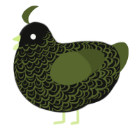 A black and olive chicken with a double-lace pattern