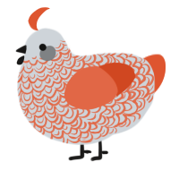 A mist and vermilion chicken with a double-lace pattern