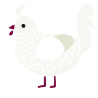 A white chicken with a lace pattern