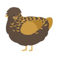 A bark and gold chicken with a half-lace pattern