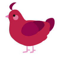 Cordial, a crimson and maroon chicken