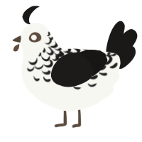 (unnamed), a white and sable chicken with a half-lace pattern