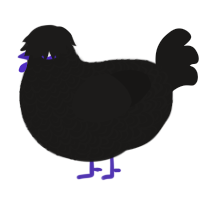BEHOLD DARKCHILD, a sable chicken with a double-lace pattern