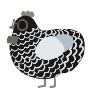 A sable and mist chicken with a lace pattern