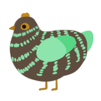 mint chocolate, a bark and spring chicken with a bar pattern