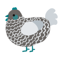 whiteturq proj, a grey and mist chicken with a lace pattern
