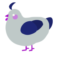 Sock, a silver and navy chicken