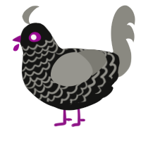A black and ash chicken with a lace pattern