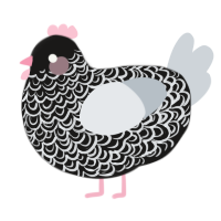 Pastel choth, a sable and mist chicken with a double-lace pattern
