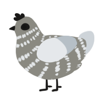 The Ancient Abyss, a ash and mist chicken with a bar pattern