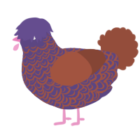 Diesel, a overcast and russet chicken with a double-lace pattern