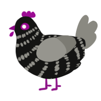 Licorice, a black and ash chicken with a bar pattern