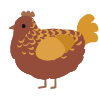 Cinnamon Roll, a russet and orange chicken with a half-lace pattern