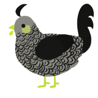 A ash and black chicken with a double-lace pattern