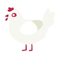 Hen Hen, a white chicken