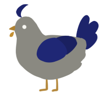 (unnamed), a ash and navy chicken