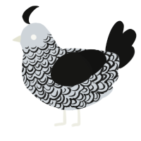 Filigree, a mist and black chicken with a double-lace pattern