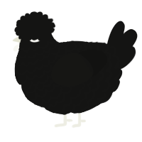 A black chicken with a lace pattern