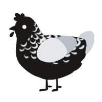 A sable and mist chicken with a half-lace pattern