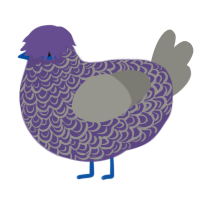 A overcast and ash chicken with a double-lace pattern