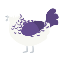 A white and overcast chicken with a half-lace pattern