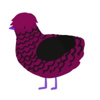 (unnamed), a wine and black chicken with a lace pattern