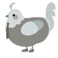 Concrete, a ash and silver chicken with a head pattern