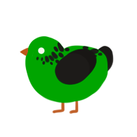 Flash Drive, a leaf and sable chicken with a neck-speckle pattern
